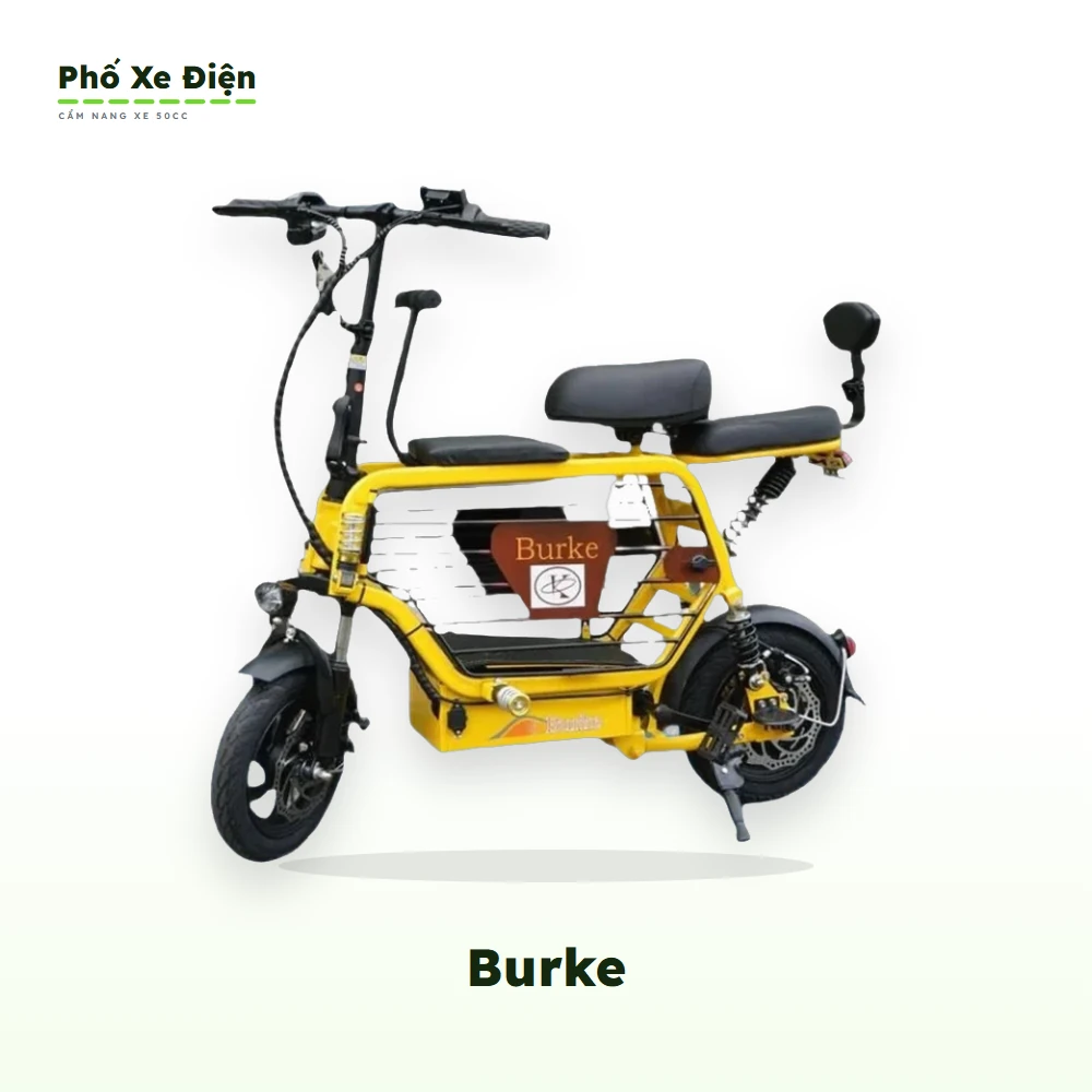 Xe Điện Burke
