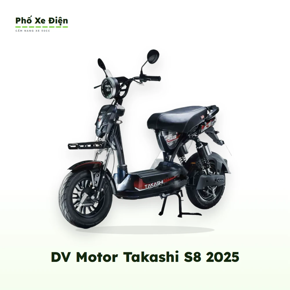 Xe Điện DV Motor Takashi S8 2025