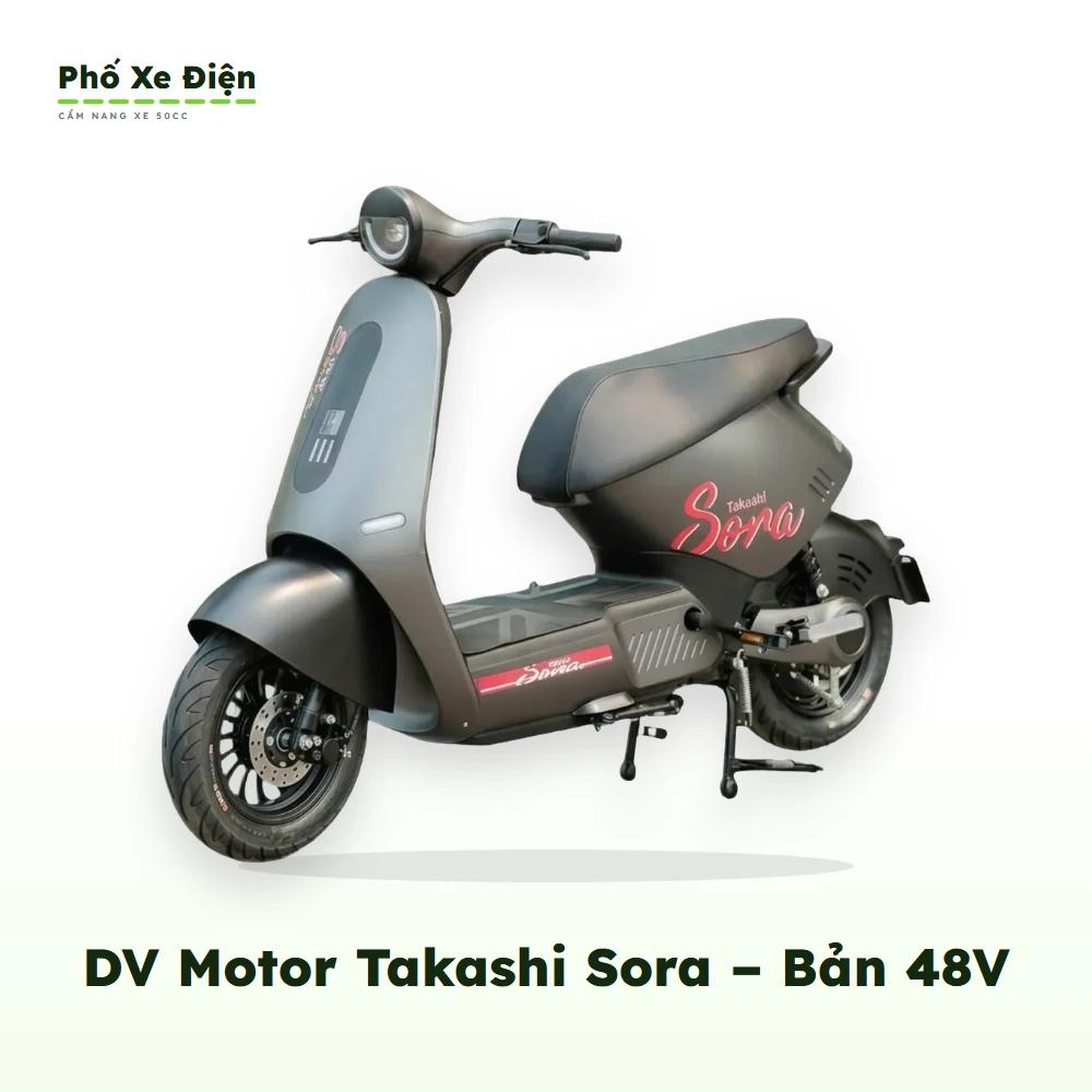 Xe Điện DV Motor Takashi Sora – Bản 48V
