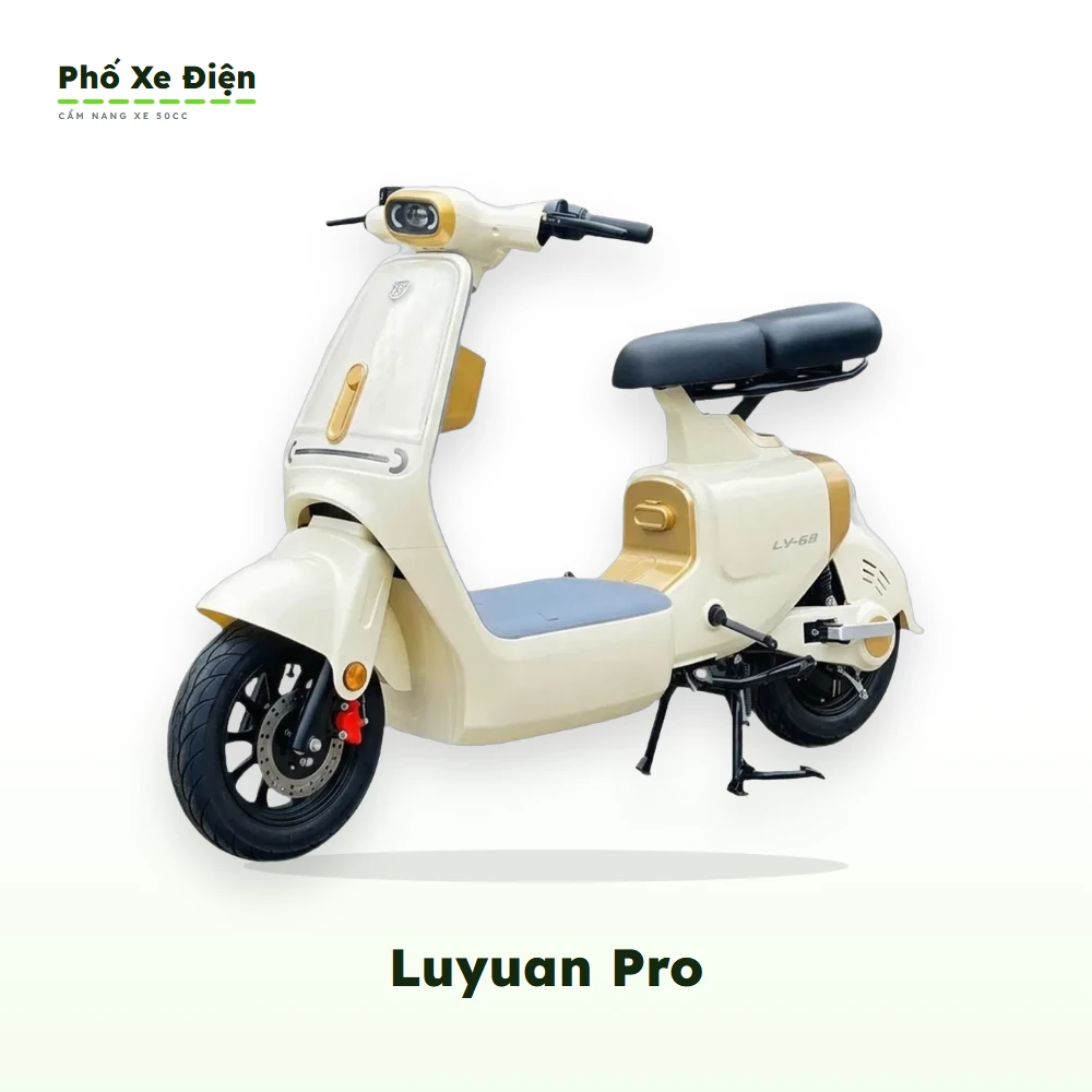 Xe Điện Luyuan Pro