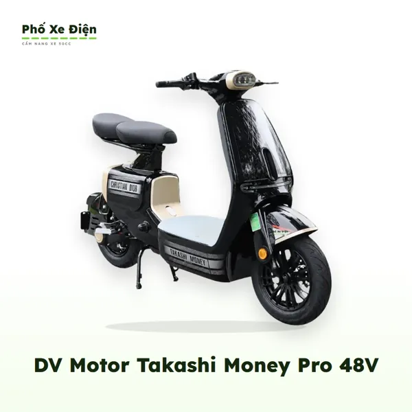 Xe Điện DVMOTOR Takashi Money Pro 48V