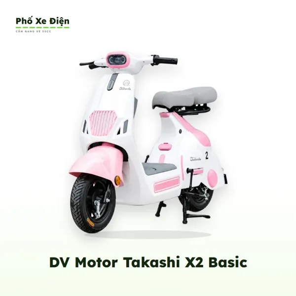 Xe Điện DVMOTOR Takashi X2 Basic