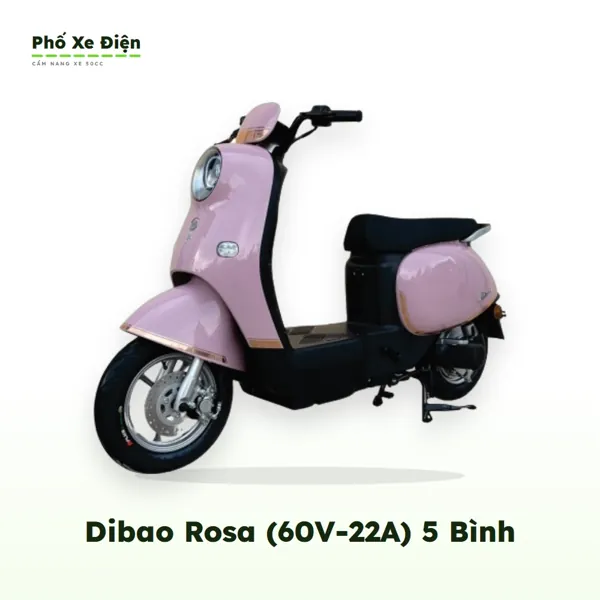 Xe Điện Hottrend Dibao Rosa (60V-22A) 5 Bình