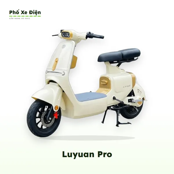 Xe Điện Luyuan Pro