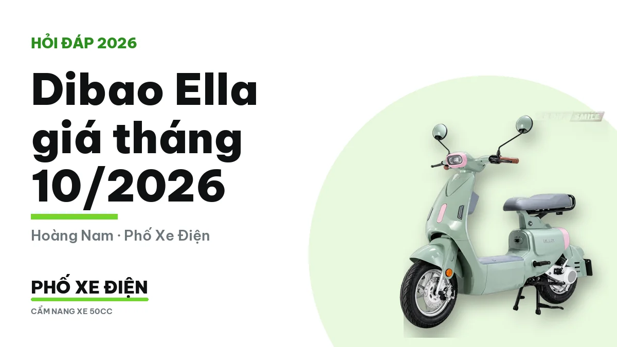 Xe điện Dibao Ella dựng trước cửa hàng buổi sáng