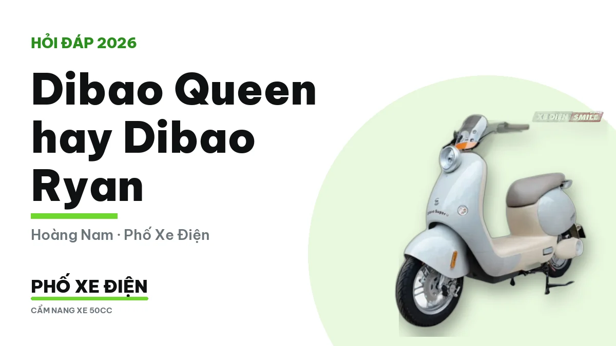 Hai chiếc xe máy điện Dibao Queen và Dibao Ryan dựng cạnh nhau trước cửa hàng