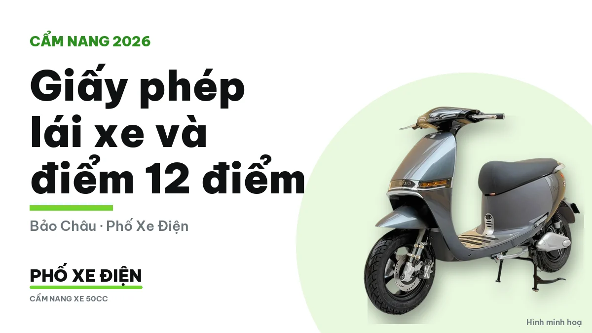Giấy phép lái xe và quy định 12 điểm theo Luật 36/2024/QH15