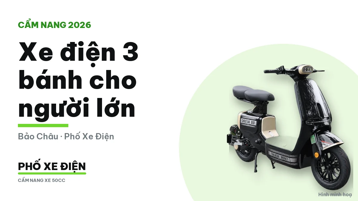 Xe điện 3 bánh cho người lớn và quy định về tuổi lái, đăng ký