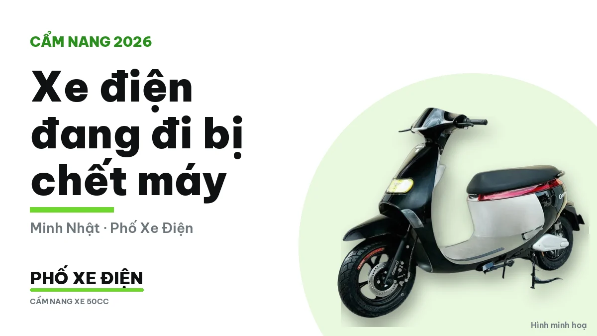 Xe máy điện dừng bên lề đường