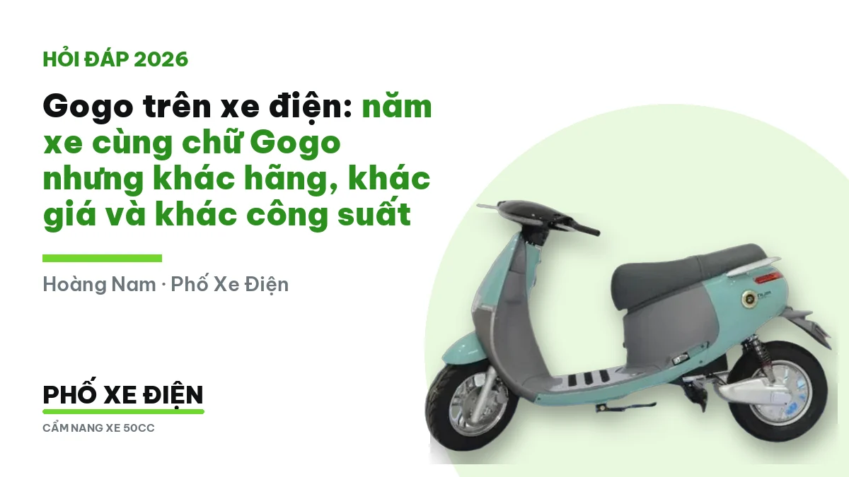 Năm mẫu xe điện mang chữ Gogo khác hãng và khác giá