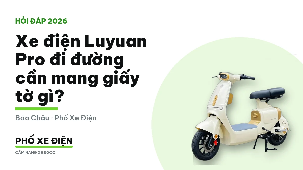 Xe điện Luyuan Pro và túi đựng đăng ký xe, bảo hiểm bắt buộc, căn cước